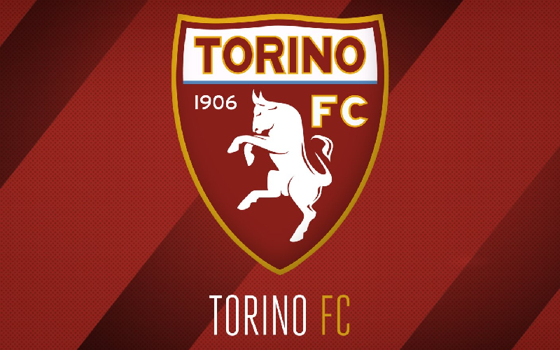 Câu lạc bộ bóng đá Torino - Đội hình thi đấu, danh hiệu nổi bật